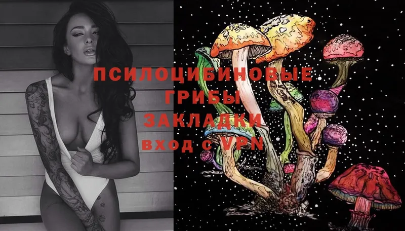 Галлюциногенные грибы MAGIC MUSHROOMS  где найти   Зея 